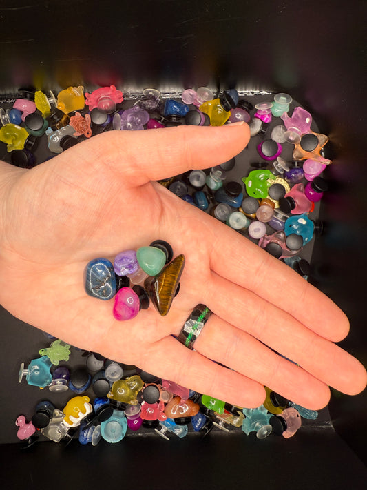 MYSTERY 5 PACK CROC ROCKS