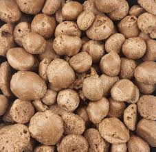 COCO BITES
